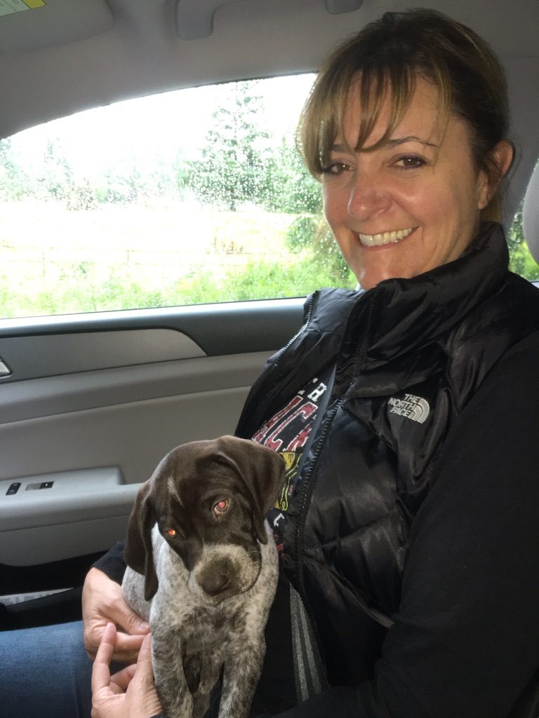 German Shorthair pup ready to go home