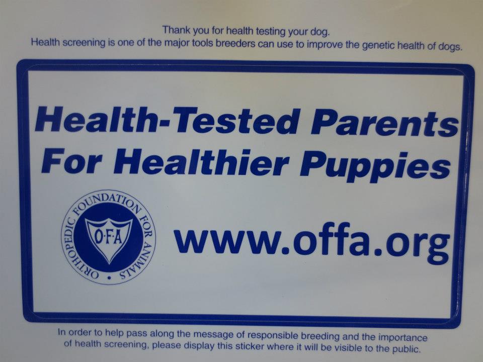 ofa ofa